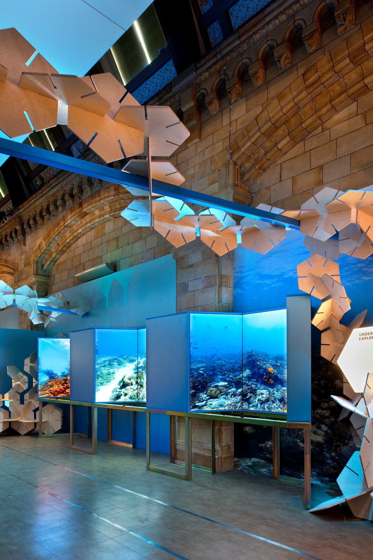 Lake Erie Artificial Reefs: Secret To A Thriving Ecosystem? - nsxn81a